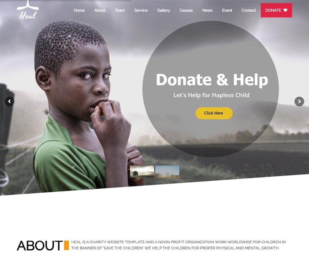 25+ Best WordPress Themes for Charity Websites - 2023