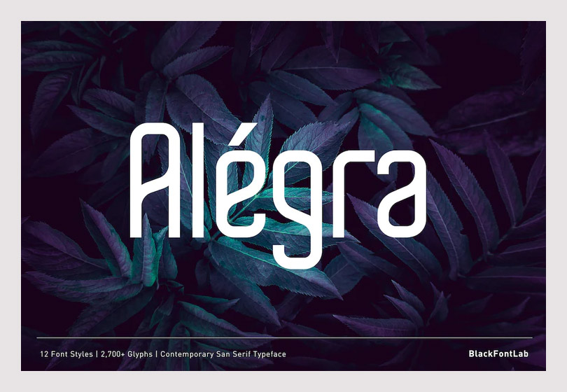 Alegra Regular  Free Modern Font