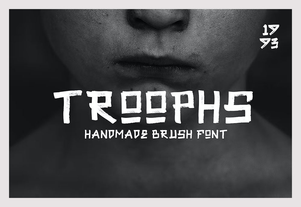 Troophs  Brush Fonts
