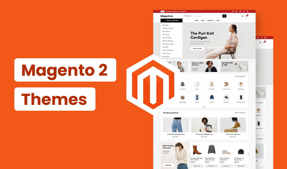 Magento 2 Themes