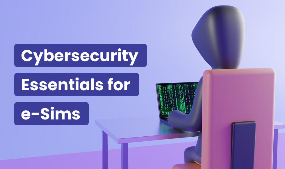 Cyber Security Essentials for e-Sims